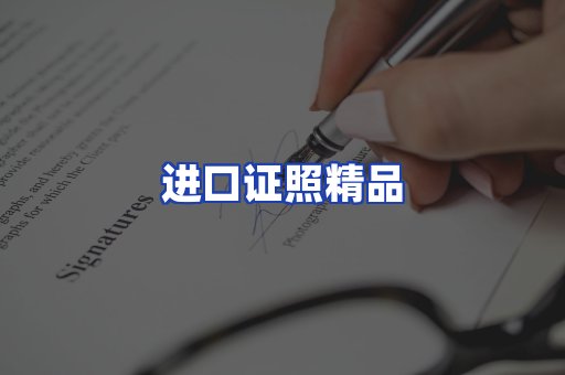 进口证件页面制证